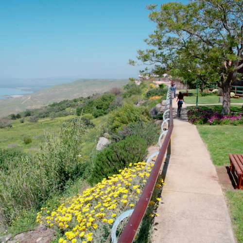 Kinneret cabins